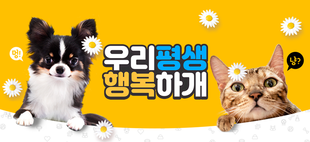 하단 배너2