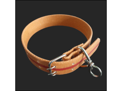 대형견 애견 개줄 소 목줄 밸트삼각 목줄 목걸이 40mm
